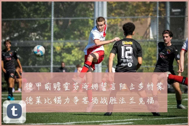 德甲前瞻霍芬海姆誓言阻击多特蒙德莱比锡力争客场战胜法兰克福